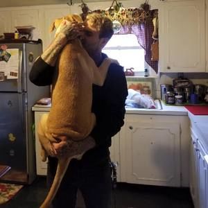 Meet your Posher, Thomas